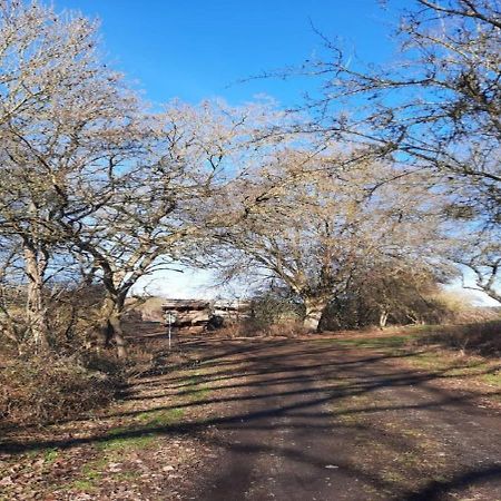 Exklusive Naturoase Direkt Am Ars Natura Wanderweg Mit Panoramablick Auf Melsungen Zewnętrze zdjęcie