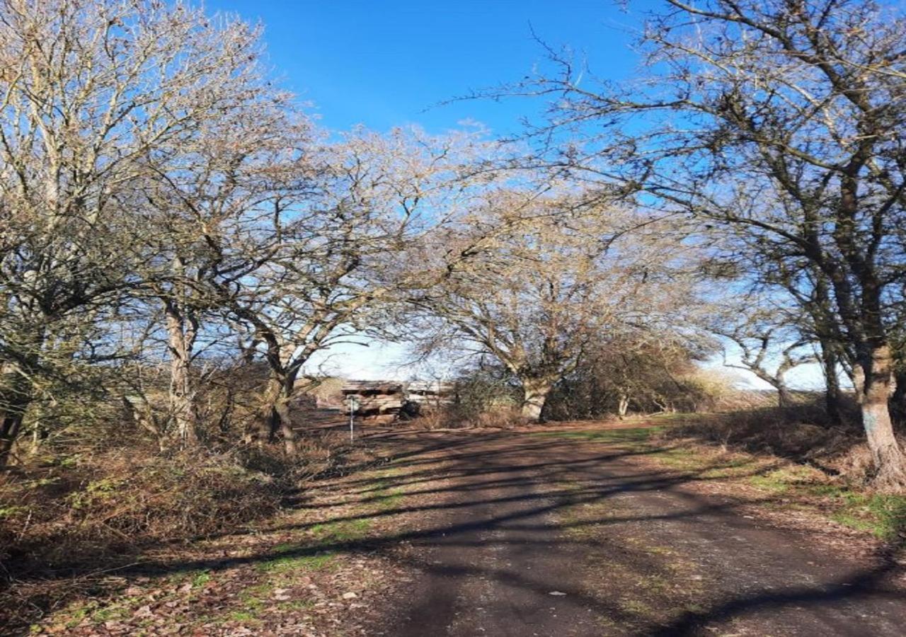 Exklusive Naturoase Direkt Am Ars Natura Wanderweg Mit Panoramablick Auf Melsungen Zewnętrze zdjęcie